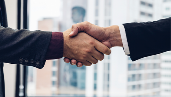 Empresarial e Societário
