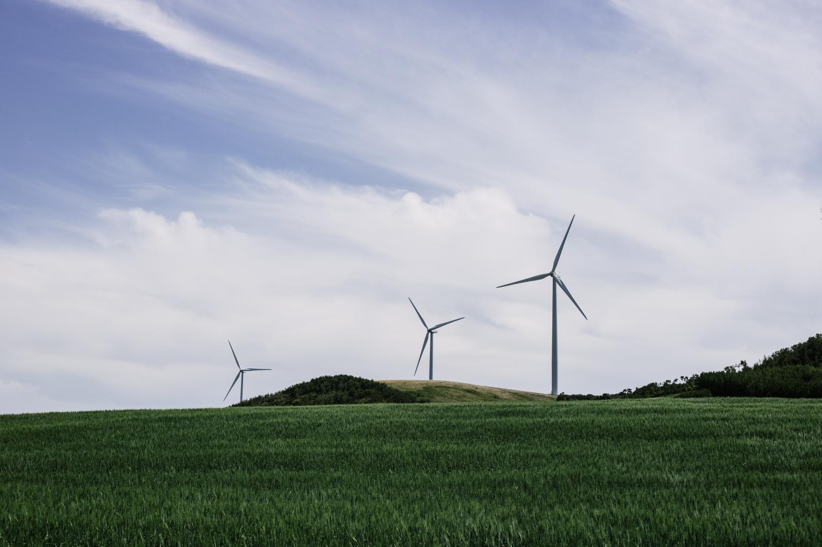 As Licitações e as Contratações Públicas como Meios de Promoção do Desenvolvimento Sustentável